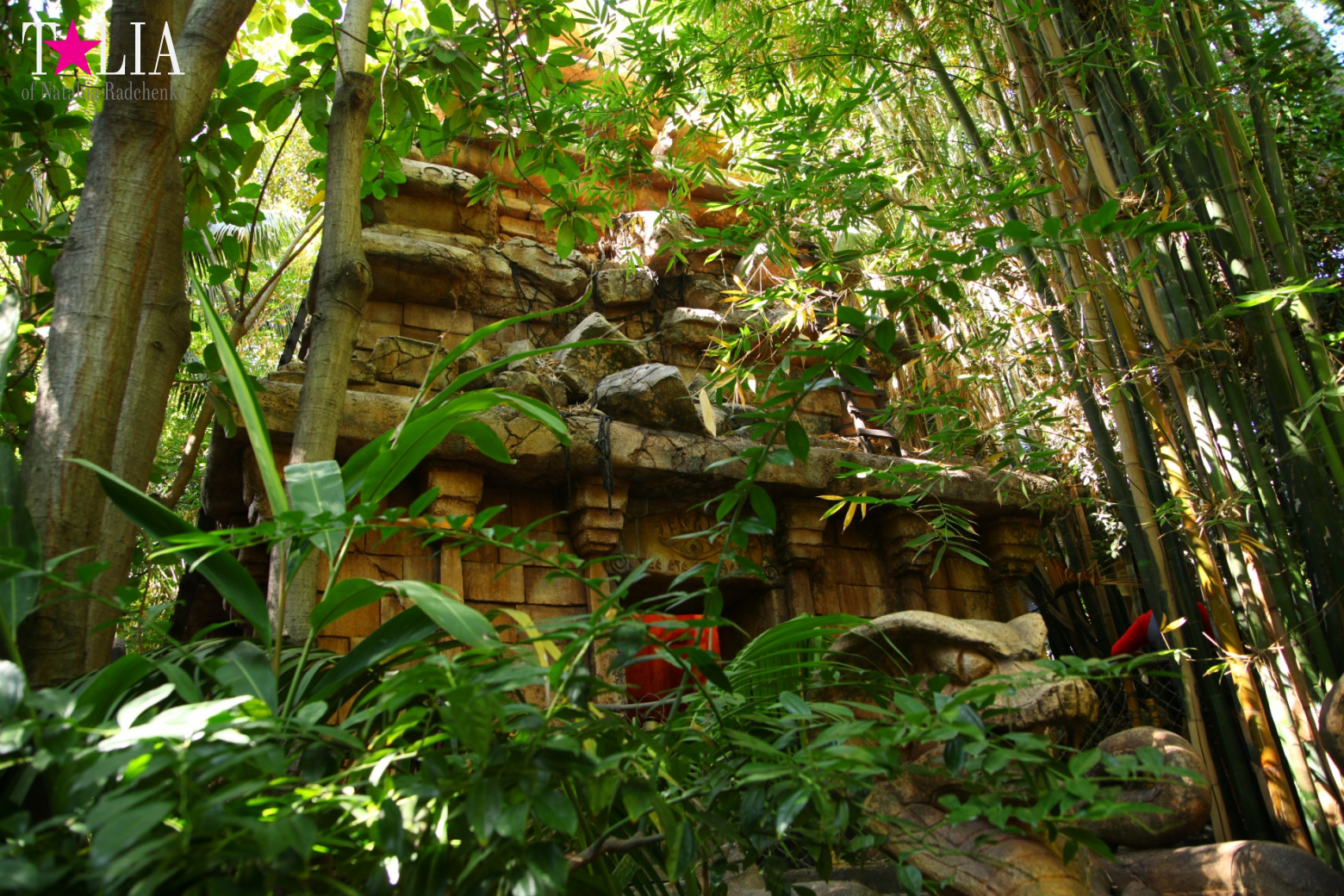 Диснейленд в Калифорнии (Анахайм, Лос Анжелес). Аттракционы